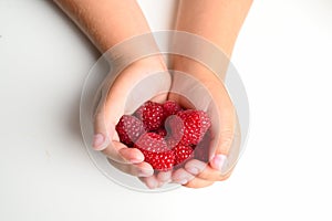 Children& x27;s hands hold a handful of raspberry on a white background top view