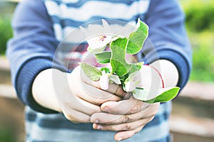 Children's hands hold spring flowers.