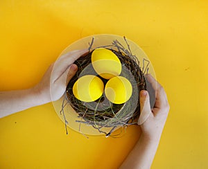 Children`s hands holding a bird`s nest. Nest with yellow eggs. Yellow background.