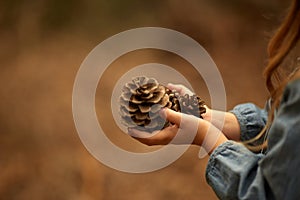 Children`s hands, pine cone, close-up