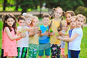 Children`s hands planting young tree on black soil together as the world`s concept of rescue.