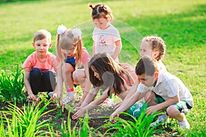 Children`s hands planting young tree on black soil together as the world`s concept of rescue.