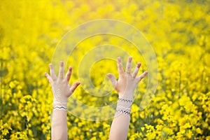 Children`s hands are raised up over a yellow flower field. ?oncept of childhood, happiness, freedom