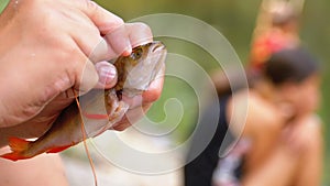Children`s hands string fresh caught fish on a wire