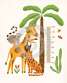 Children`s height wall chart in centimeters decorated with tropical palm tree, jungle plants and funny cartoon exotic