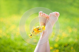 Children`s legs a bouquet of dandelions on the background of dandelion fields in the light of the sunset sun