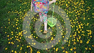 Children`s legs go through flowering dandelions in the meadow.