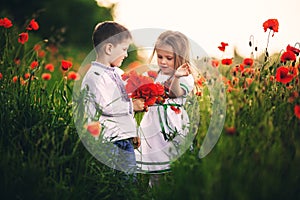 Children`s love, a little boy and a girl, amicably spend time, laugh and smile, and kiss in the flowering field of poppies