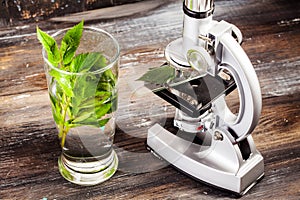 Children's microscope in still life table leaves, plant, foliage, biology