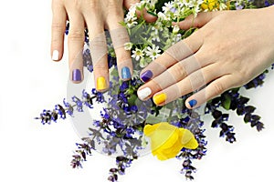 Children& x27;s multi-colored manicure with field and meadow flowers