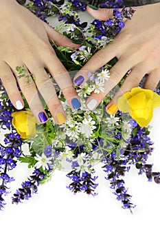 Children& x27;s multi-colored manicure with field and meadow flowers