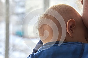 Children`s nape with sparse white hair, close-up