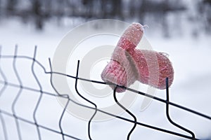 Children's pink mitten hangs on the fence. concept of a lost child