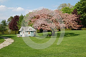 Children's Playhouse