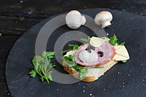 Children`s sandwich made in the form of a dog. Option of children`s serving