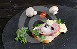 Children`s sandwich made in the form of a dog. Option of children`s serving