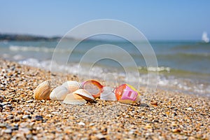 Children`s scuba diving goggles lie next to the found shells on the seashore.