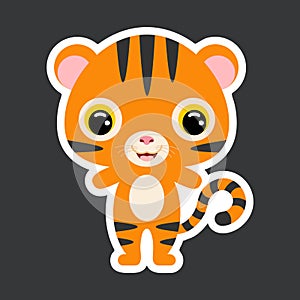Children`s sticker of cute little tiger. Jungle animal. Flat vector stock illustration