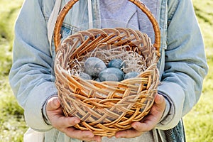 Children`s teenage hands hold a wicker brown hand-made basket with blue textured Easter eggs. The concept of the spring