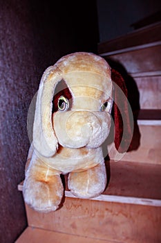 Children`s toy dog with a brown ear on the stairs, vertical photo