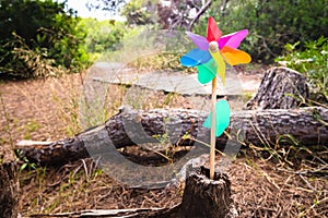 Children`s toy pinwheel on a path in a forest, concept of good direction with copy space