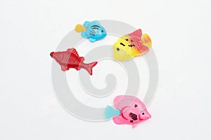 Children`s toy plastic multi-colored fish.