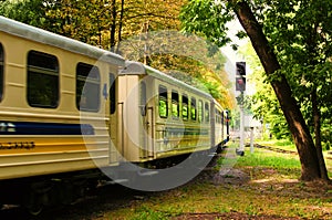 The children`s train arrives at the station. Blurred motion. Scenic nature landscape in Syretsky Park. Kyiv Children`s Railway