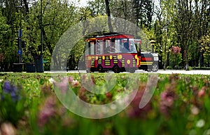 The children`s train from Parcul Mare