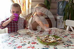 Children are siblings having breakfast, milk, cookies, lifestyle