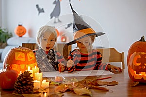 Children, siblings, playing with carved pumpkin at home on Halloween