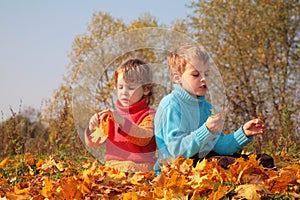 Children sit on fallen maple leaves