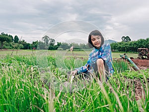 Children sitting in organic vegetables garden on sunny and sky background in rural or countryside