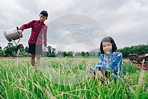 Children sitting in organic vegetables garden on sunny and sky background in rural or countryside