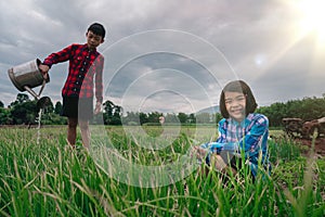 Children sitting in organic vegetables garden on sunny and sky background in rural or countryside