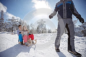 Children on sleds on winter holiday