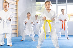 Children students repeat position and perform sequence of punches and painful techniques kata