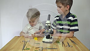 Children study plants under a microscope on a wooden table next to a white wall.