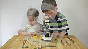 Children study plants under a microscope on a wooden table next to a white wall.