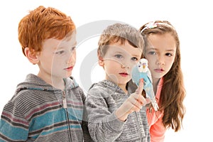 Children with tame pet budgerigar