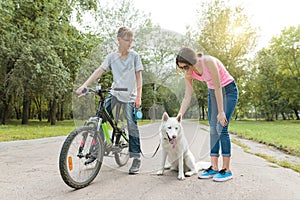 Children teenagers talking, walking the dog in the park on bicycle