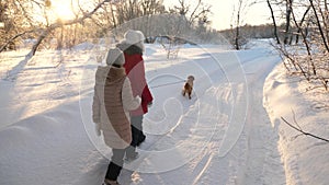 Children teens travel in winter in the park with a dog. two girls and dog and dog walk along path in winter park