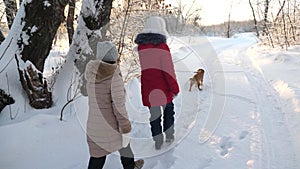 Children teens travel in winter in the park with a dog. two girls and dog and dog walk along path in winter park