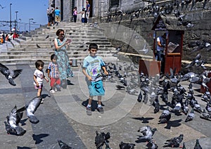 Children try to catch pigeons in Istanbul.