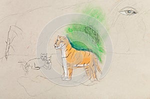 Children unfinished drawing - tigress with cubs