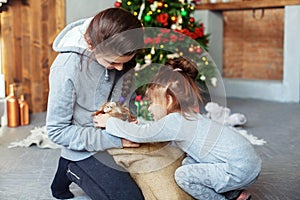 Children unpack dog gift for Christmas.