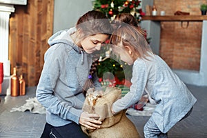 Children unpack surprise for Christmas. The concept of holidays
