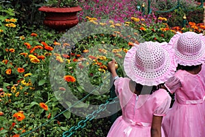 Children visiting flowers