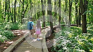 Children walk in the national park along an equipped hiking trail. The road in the forest from wooden boards. Family hiking