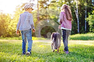 Children walking with a dog in nature