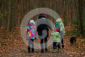 Children walking in the forest